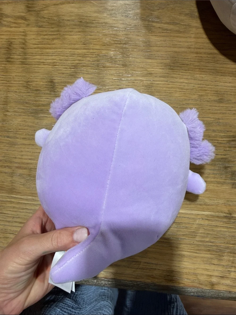 NWT Squishmallows